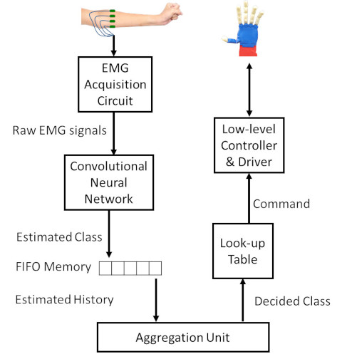 Control of prosthetic hands with EMG signals